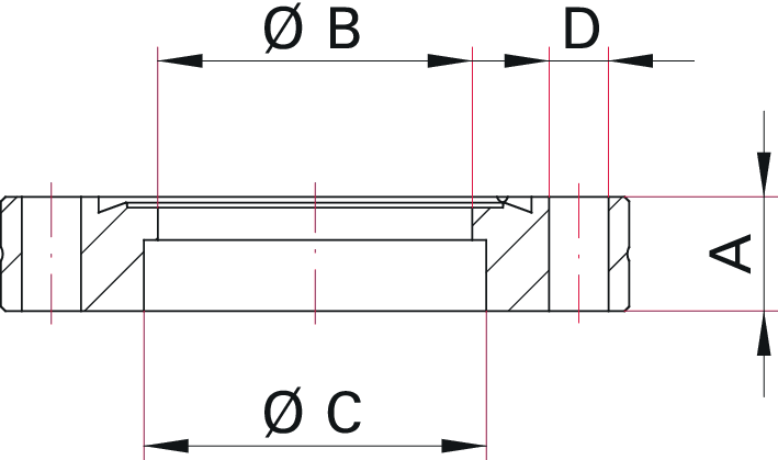 Anschweißflansch, Edelstahl 304L, DN 200 CF